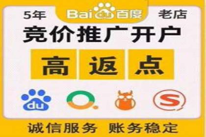 成功案例剖析：信息流开户返点的应用与效果